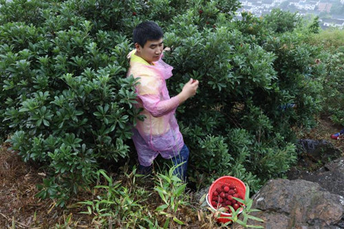 1545187214279625.jpg 說明: 徐茂來